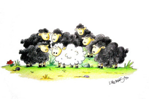 Ovelhas